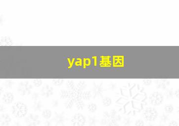 yap1基因