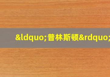 “普林斯顿”号