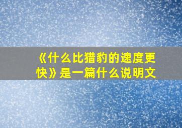 《什么比猎豹的速度更快》是一篇什么说明文