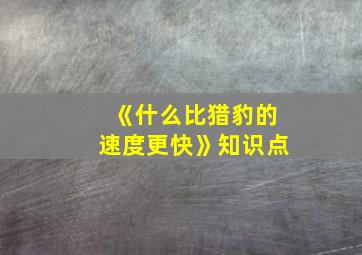 《什么比猎豹的速度更快》知识点