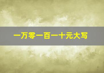 一万零一百一十元大写