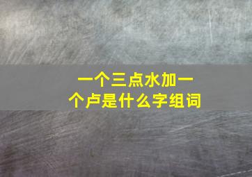 一个三点水加一个卢是什么字组词