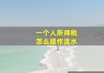 一个人所得税怎么操作流水