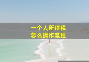 一个人所得税怎么操作流程