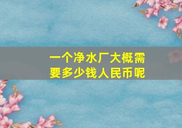 一个净水厂大概需要多少钱人民币呢