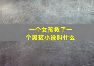 一个女孩救了一个男孩小说叫什么