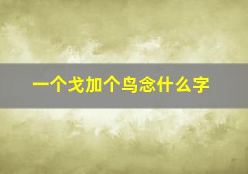 一个戈加个鸟念什么字