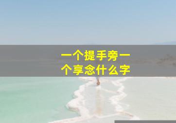 一个提手旁一个享念什么字