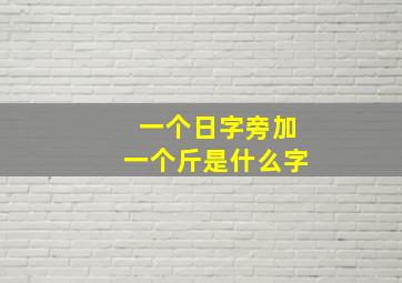 一个日字旁加一个斤是什么字