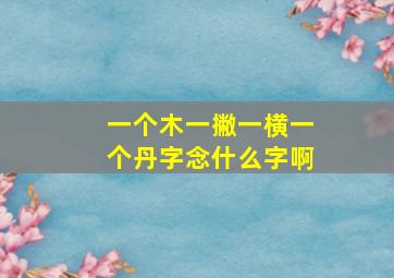 一个木一撇一横一个丹字念什么字啊