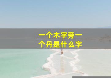 一个木字旁一个丹是什么字