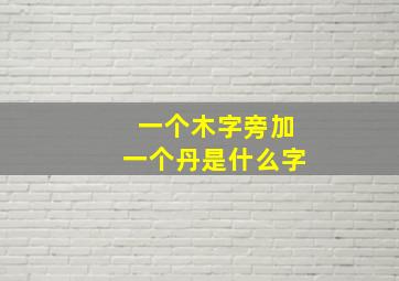 一个木字旁加一个丹是什么字