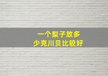 一个梨子放多少克川贝比较好