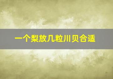 一个梨放几粒川贝合适