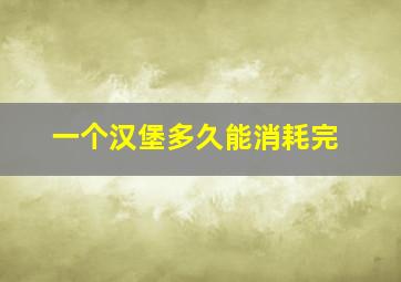 一个汉堡多久能消耗完