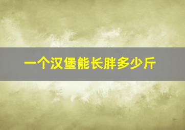 一个汉堡能长胖多少斤