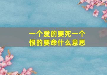 一个爱的要死一个恨的要命什么意思