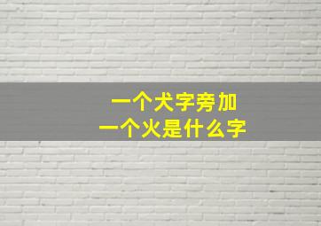 一个犬字旁加一个火是什么字