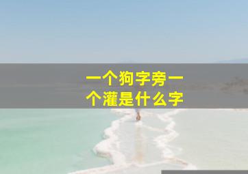 一个狗字旁一个灌是什么字