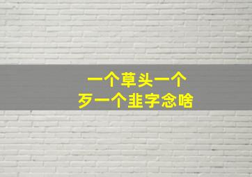 一个草头一个歹一个韭字念啥