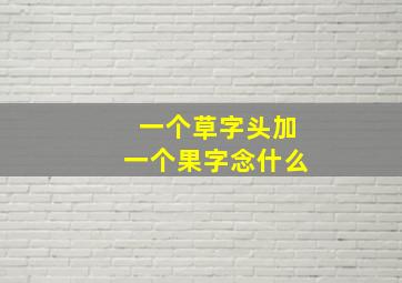 一个草字头加一个果字念什么