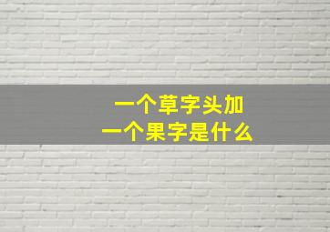 一个草字头加一个果字是什么