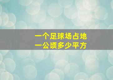 一个足球场占地一公顷多少平方