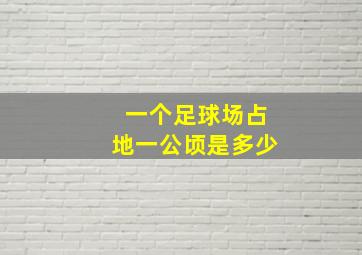 一个足球场占地一公顷是多少