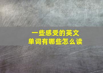 一些感受的英文单词有哪些怎么读