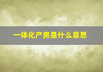 一体化产房是什么意思