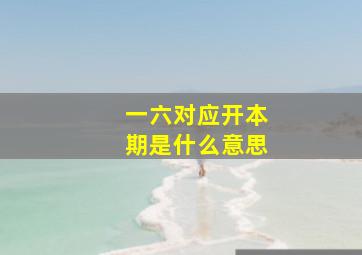 一六对应开本期是什么意思