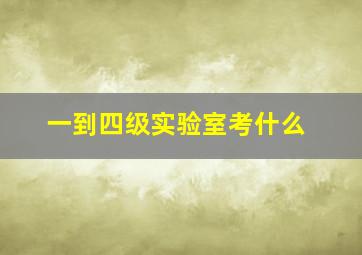 一到四级实验室考什么