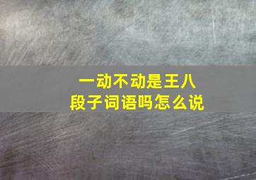 一动不动是王八段子词语吗怎么说