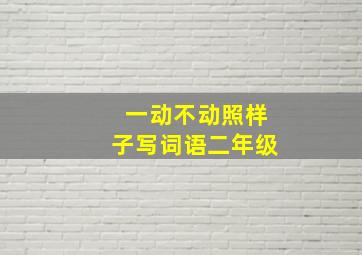 一动不动照样子写词语二年级