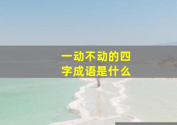 一动不动的四字成语是什么