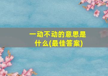 一动不动的意思是什么(最佳答案)