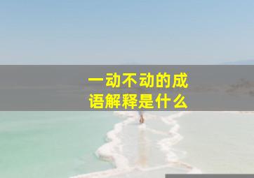 一动不动的成语解释是什么