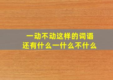 一动不动这样的词语还有什么一什么不什么