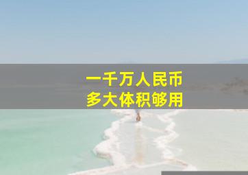 一千万人民币多大体积够用