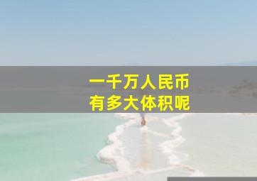 一千万人民币有多大体积呢