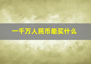 一千万人民币能买什么