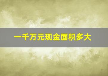 一千万元现金面积多大