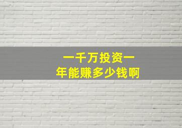 一千万投资一年能赚多少钱啊