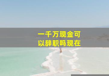 一千万现金可以辞职吗现在