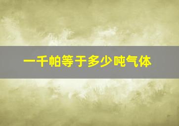 一千帕等于多少吨气体