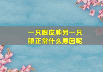 一只眼皮肿另一只眼正常什么原因呢