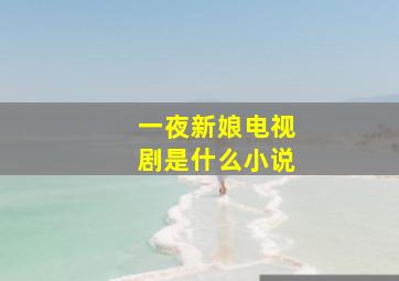 一夜新娘电视剧是什么小说