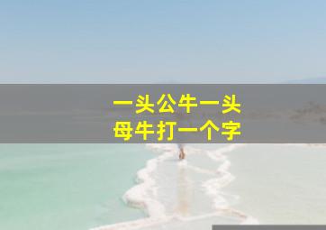 一头公牛一头母牛打一个字