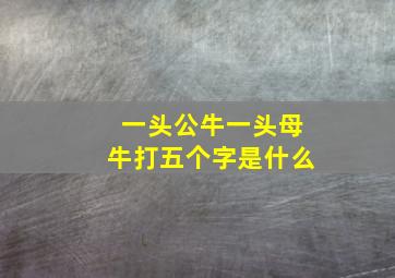 一头公牛一头母牛打五个字是什么