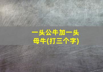 一头公牛加一头母牛(打三个字)